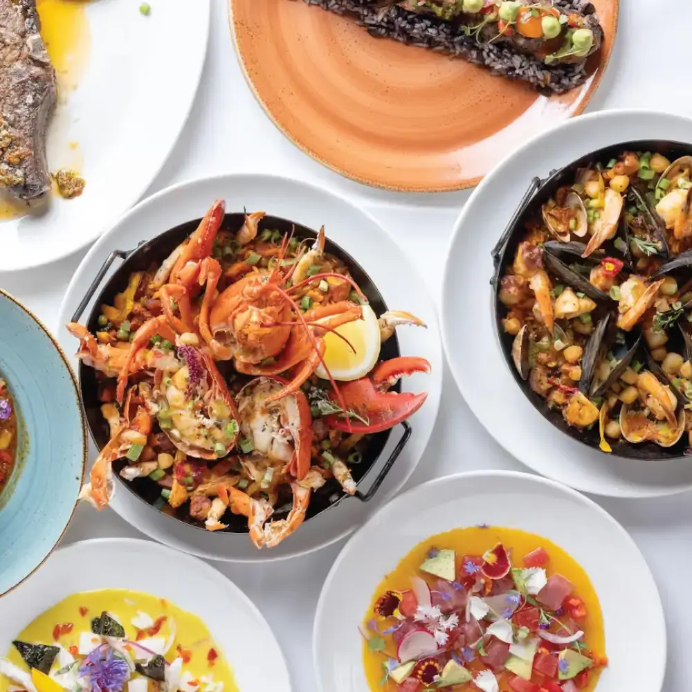 Carnivale Dishes - Mobile